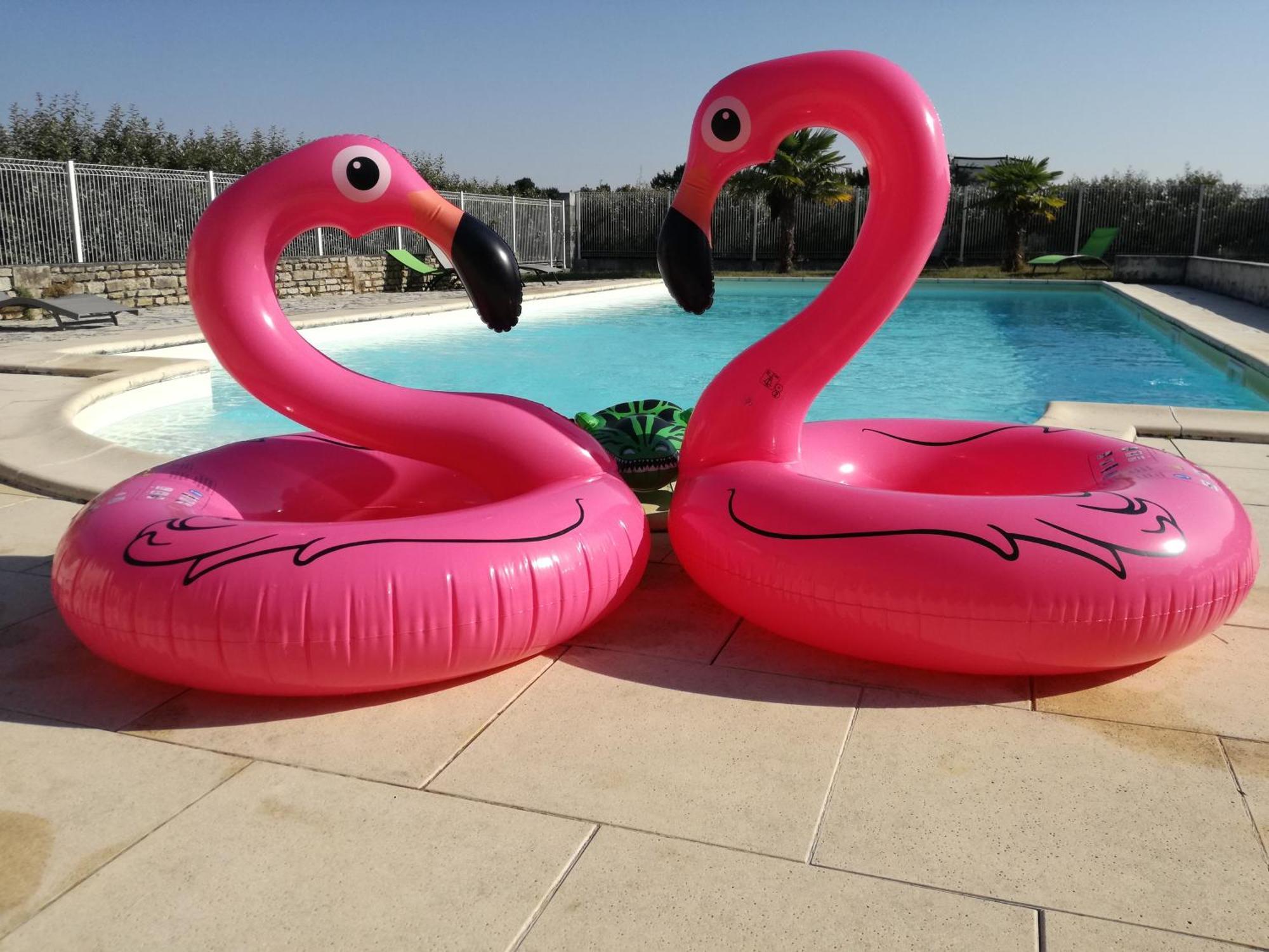 Domaine De La Laigne - Spa Asnières-la-Giraud Buitenkant foto